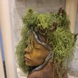 WhatsApp-Bild-2025-03-22-um-11.35.00_b06624a9.jpg Tree Elf