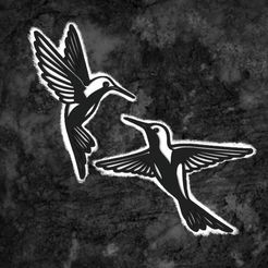 Screenshot_20240119_154427_Instagram.jpg Hummingbird x2 (silhouettes)