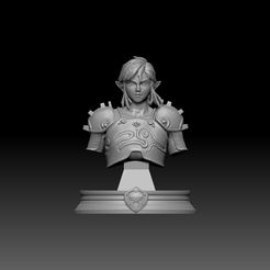 1.jpg Link Bust 2 - Les légendes de Zelda