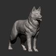 Husky9.jpg Husky 3D printed model