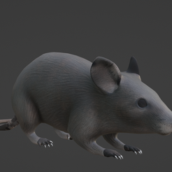Rat best free STL files for 3D printing・205 models to download・Cults