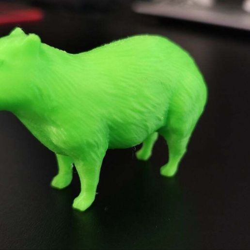 カピバラ（Capybara）3Dデータ