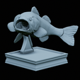 Bass-trophy-31.png Largemouth Bass / Micropterus salmoides fish in motion trophy statue detailed texture for 3d printing