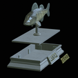 Zander-money-2.png fish sculpture of a zander / pikeperch with storage space for 3d printing