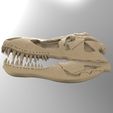 dskull.141.jpg dragon skull 3D STL model for CNC router and 3D printing