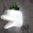 low-poly-head-planter-2.png Beluga whale low poly geometrical wall mount head planter succulent flower vase cactus pot STL