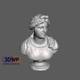 Bust_of_a_young_woman_-_Simone_Bianco.JPG Bust Of A Young Woman - Simone Bianco (Statue 3D Scan)