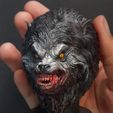 Captura.jpg An American Werewolf in London Bust