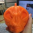 IMG_6157.jpeg Skull Pumpkin Bundle