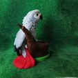 IMG_20240731_165910086.jpg African Grey Pencil Holder