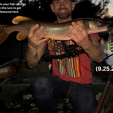 Generic-AF-Glide-Bait-V1.5-9.25.25-Pike.png Generic AF Glide Bait V1.5