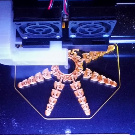 octo4.jpg Funny Flexi Octopus