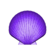 final_shell.STL Sea Shell