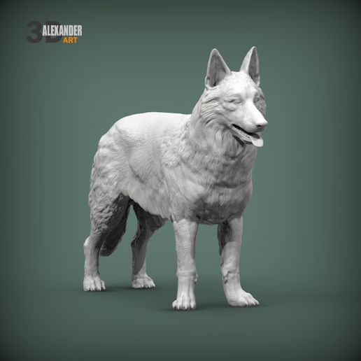 Swiss-white-shepherd4.jpg Swiss white shepherd 3D print model