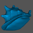 Screenshot-2023-05-20-203603.png Authentic 3D Scanned Big Sea Shell