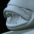Dentex-mouth-statue-68.png fish Common dentex / dentex dentex open mouth statue detailed texture for 3d printing