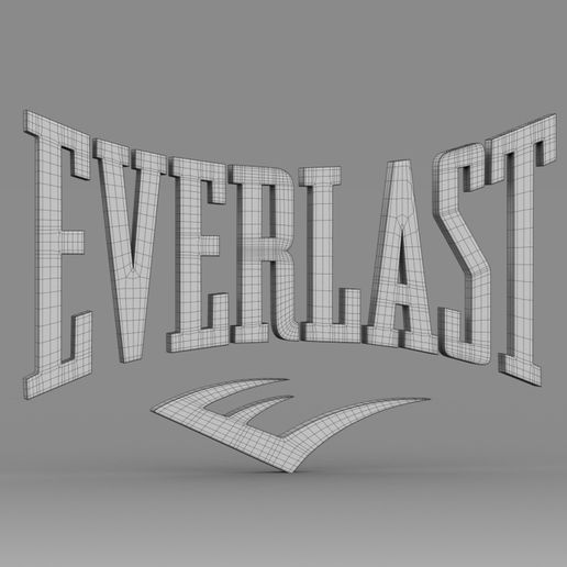 everlast logo svg