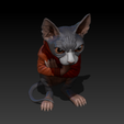 Sphynx-with-Jacket-and-Drawstrings.png Sphynx with Hoodie
