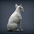 boston-terrier7.jpg boston terrier 3D print model