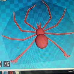 IMG_20200308_064556974.jpg Download free OBJ file Ashley's cinnamon spider • 3D printable object, John46