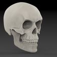 untitled.164.jpg Classic Skull