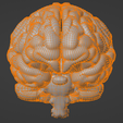 6.png 3D Model of Human Brain v3
