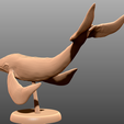 3B.png Sky Whale - Tabletop Miniature