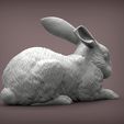 rabbit4.jpg Archivo 3D Modelo de impresión 3D de un conejo・Modelo de impresora 3D para descargar, akuzmenko