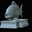 Dentex-mouth-statue-48.png fish Common dentex / dentex dentex open mouth statue detailed texture for 3d printing