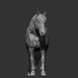 Percheron8.jpg Caballo percherón Modelo de impresión 3D