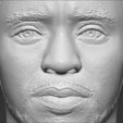 17.jpg Chad Boseman Black Panther bust 3D printing ready stl obj formats
