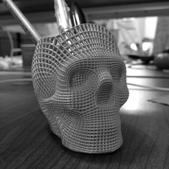 IMG_3993.jpg Wireframe Skull Pencil Holder