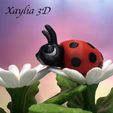 Ladybug-4.jpg Flexi Ladybug - Comercial