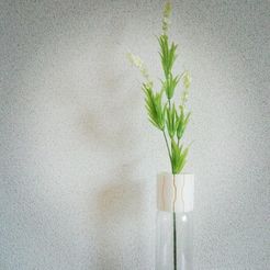 IMG_20141120_124542.jpg Free STL file PET VASE CAP_03_slit・3D printable model to download