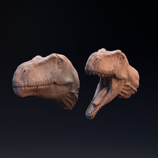 Giganotosaurus head mouth open and closed 3D model