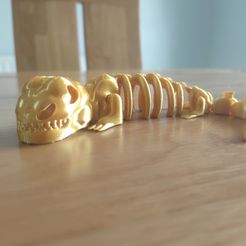 IMG20210805164453.jpg STL file Articulated Dinosaur Skeleton (print in place)・3D print design to download