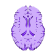 cross section.stl BRAIN FOR THE STUDY OF HUMAN ANATOMY, CORONAL AND TRANSVERSAL SECTIONS