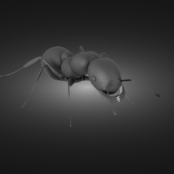 Ant-render.png Fichier STL Fourmi・Objet imprimable en 3D à télécharger