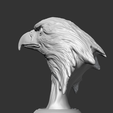 07.png Bald Eagle Head AM07 3D print model