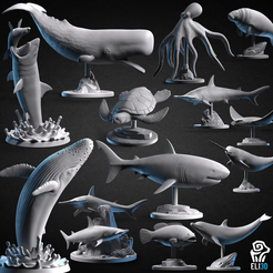 ocean_bundle2.png Fichier 3D Lot d'animaux - La faune de l'océan・Plan à imprimer en 3D à télécharger, eli3D