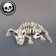 SKELEXI-Crocodile,-I2.jpg Flexi Esqueleto Cocodrilo