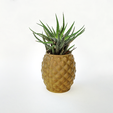 IMG_20200627_1631153.png Pineapple planter