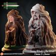 2.jpg The Witch - Character sculpt for 3D printing and rpg games