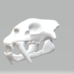 tigresable.png Archivo STL tigre dientes de sable craneo・Modelo para descargar y imprimir en 3D
