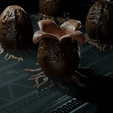 huevo03.png Alien egg and facehugger bundle