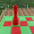 picture-(17).jpg Garden Chess Set