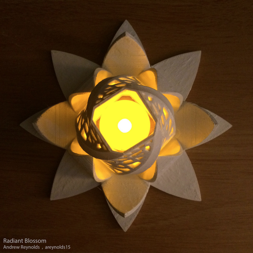 Capture_d_e_cran_2016-08-04_a__11.16.57.png Flor radiante