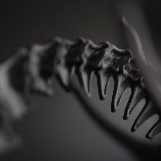 IMG_9743.jpg Alien Xenomorph Scout 3D Print Model 3D print model