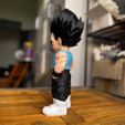 IMG_0101.jpg vegeta urban vibes Fan art (sem ams-multiparts/3mf)