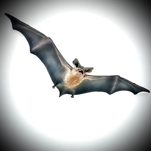 BAT-3D-PRINT-1.jpeg BAT FLYING